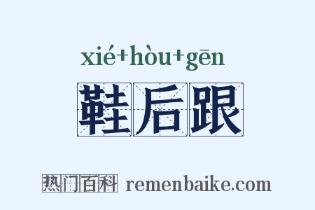 鞋后跟是什么意思的图片